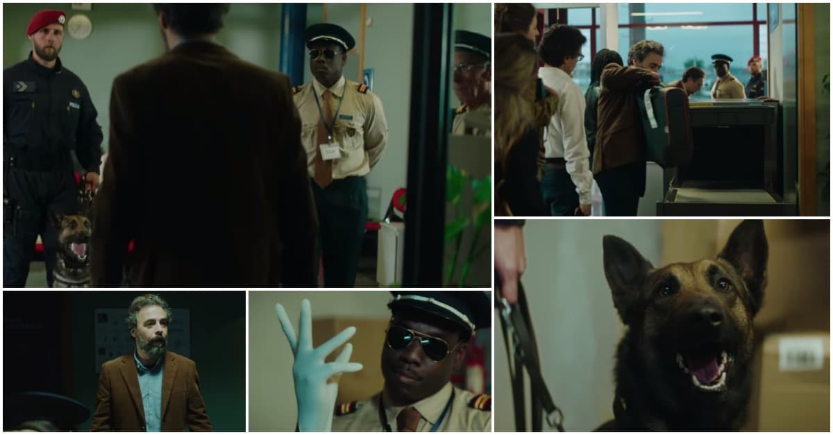 Cão polícia vs homem suspeito em aeroporto... a campanha portuguesa da Animalife!
