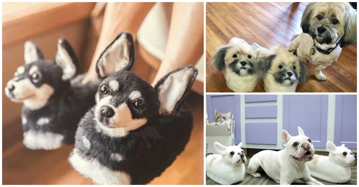 Empresa cria pantufas personalizadas com o focinho do teu animal de estimação