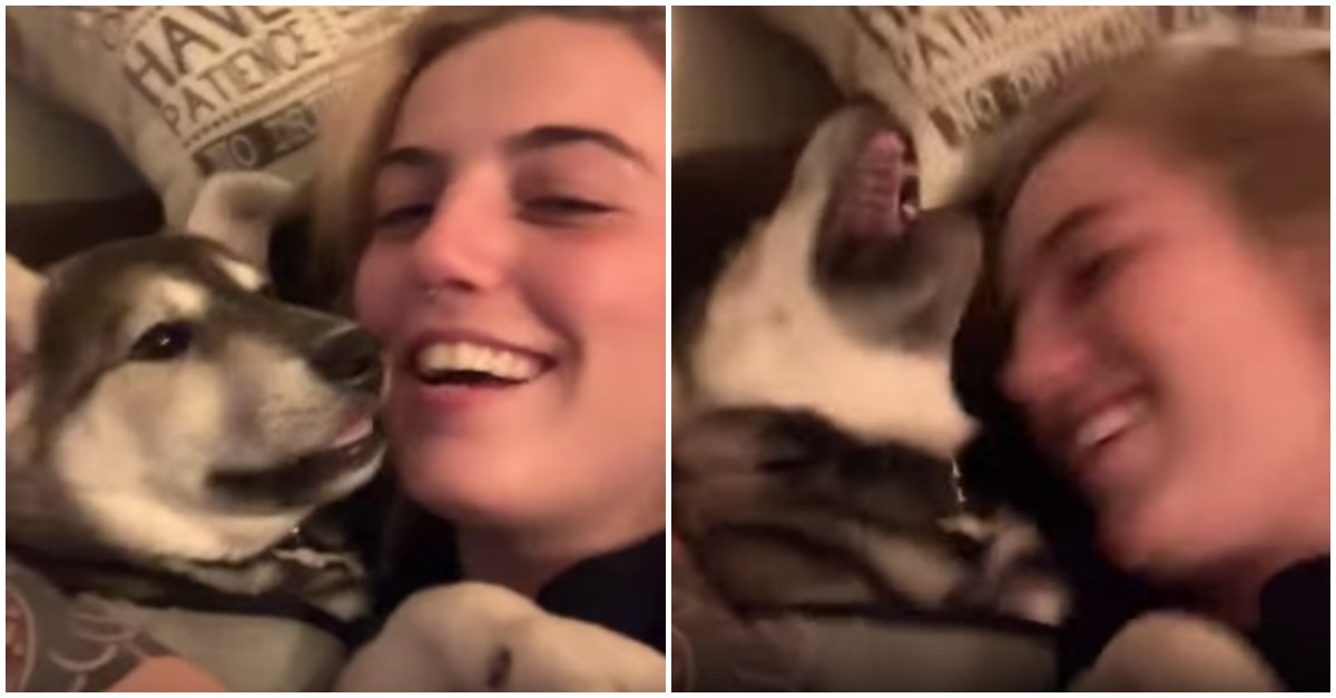Cão com cócegas não aguenta quando a dona lhe faz um ataque no pescoço