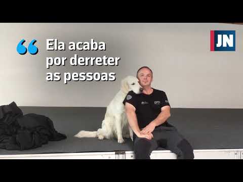 Cadela Maggie espalha mimos e desperta emoções