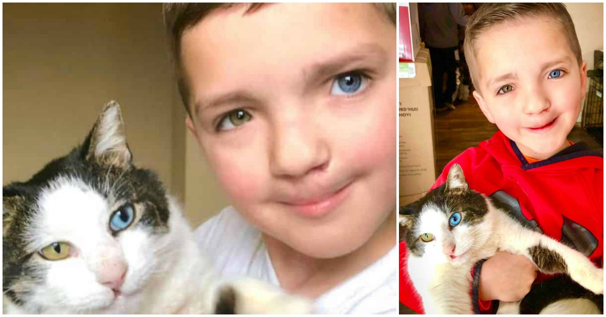 Menino adota gatinho com os mesmos olhos e a mesma fenda lábio-palatina