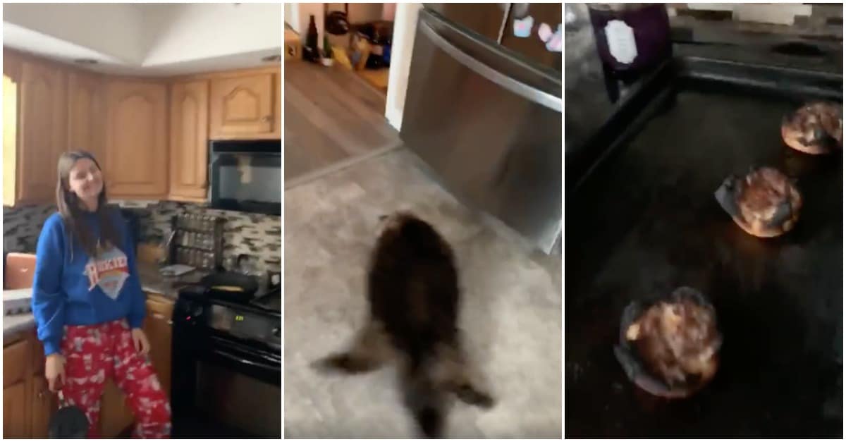 Gato sai de casa em modo drift após ouvir alarme de incêndio
