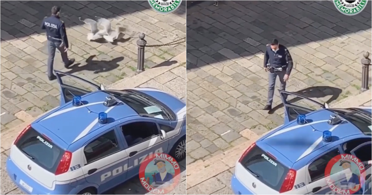 Polícia italiano acaba com luta de rua entre 2 machos nervosos