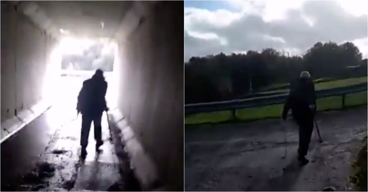 Caçador espanca cadela após esta dar à luz 6 cães