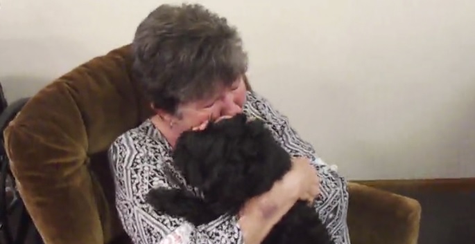 Cão e dona vivem reencontro emocionante após semanas separados
