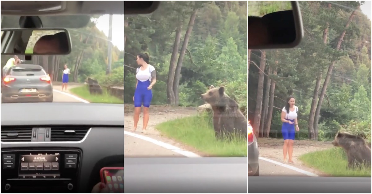 Teve a brilhante ideia de sair do carro para tirar uma foto ao lado de um urso selvagem