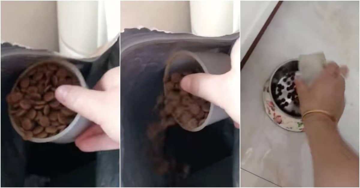 Homem faz brincadeira ao seu cão com a comida mas este não acha piada nenhuma