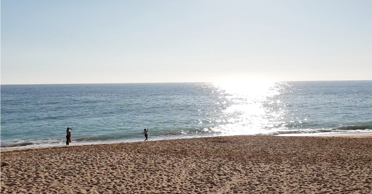 Golfinhos dão show na praia de Armação de Pêra