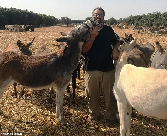 Burro reconhece cuidador de santuário ao reencontrá-lo após 12 anos