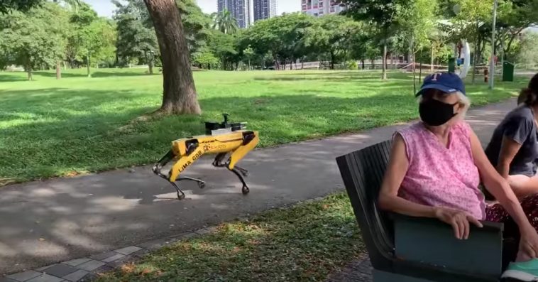 Cães robô patrulham jardim e lembram importância de distanciamento social
