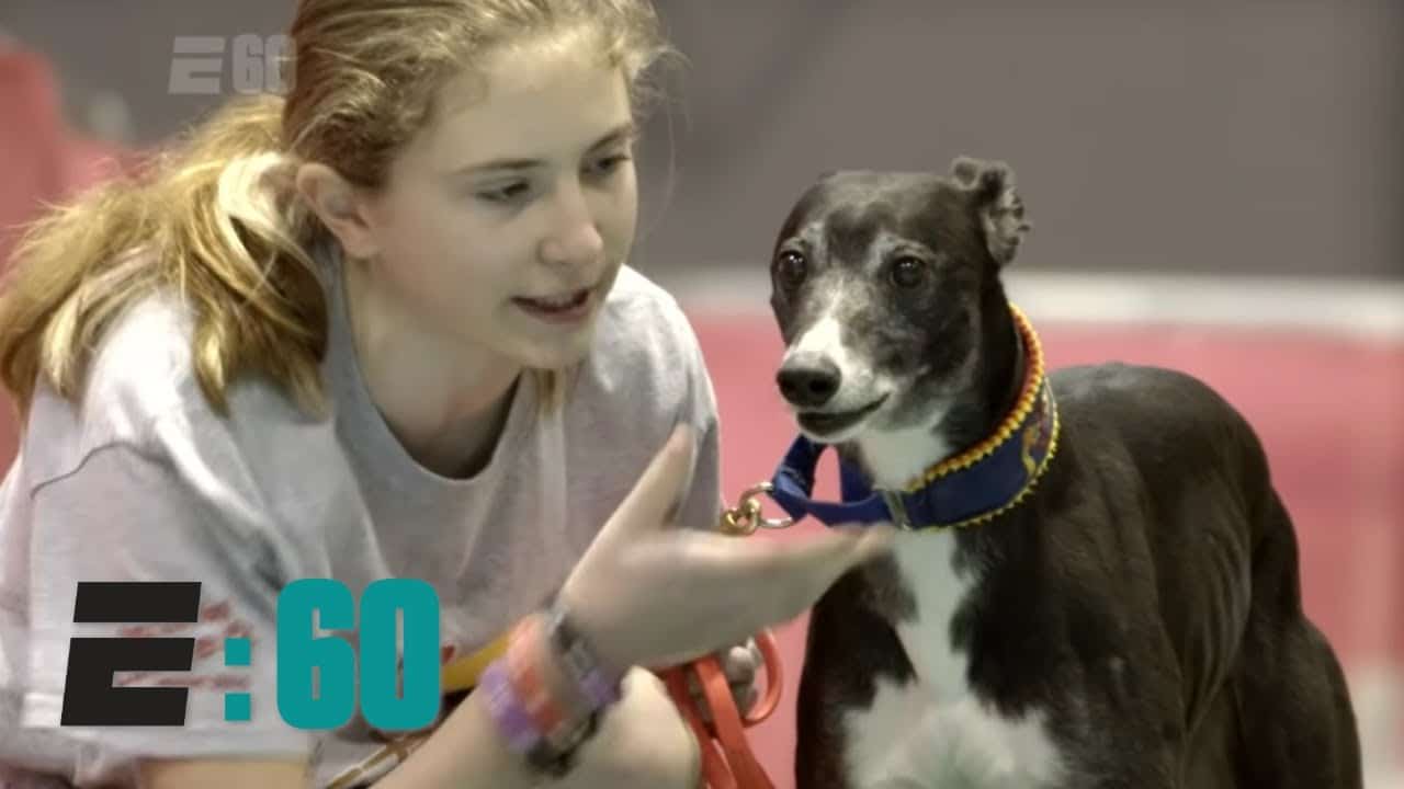 Cão é conhecido como Michael Jordan e este vídeo mostra porquê