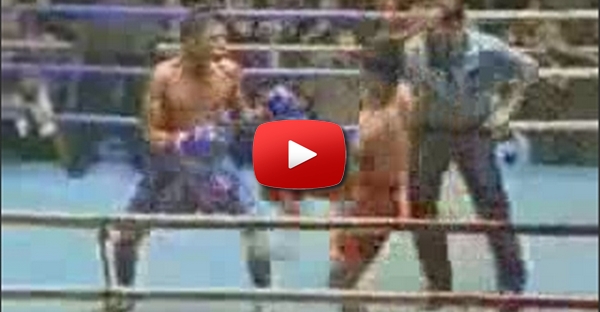 Boxe no seu melhor - Muito engraçado