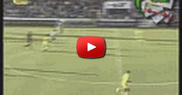 Frango nº 2 2006 - SLBenfica Moretto