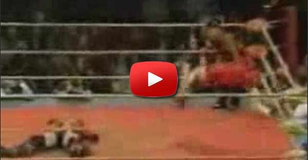 Como é possivel não se gostar de wrestling?