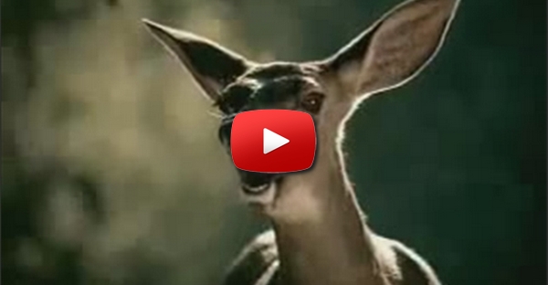 Divertido Comercial animais