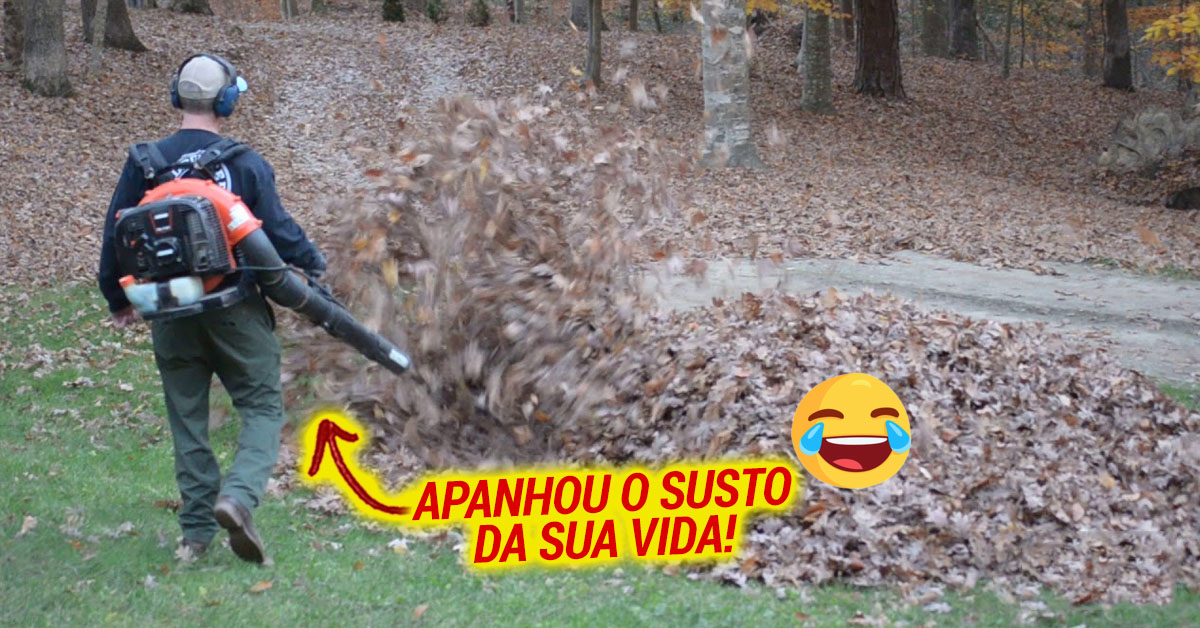 Assustando o pai que limpava as folhas do jardim