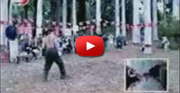 Melhores Videos Cassetadas