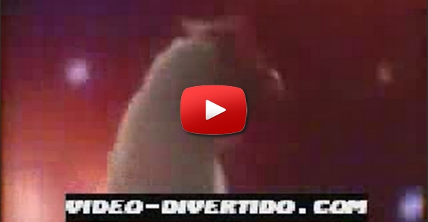 Techno Chicken Galinhas doidas