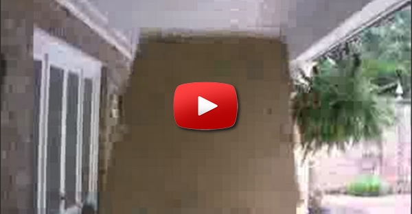 Homem quer partir tábua com a cabeça.... mas não consegue