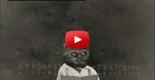 Bruno Aleixo na Escola 01