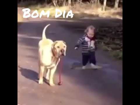 Só se vive uma vez, aproveita das oportunidades!