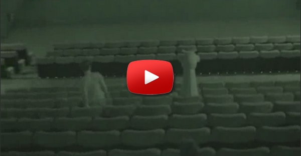 Remi Gaillard - Girafa