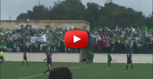 Remi Gaillard - The Stupid Cup
