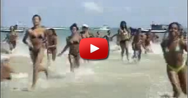 Tubarão na praia