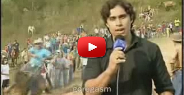 Apresentador atropelado por uma MULA