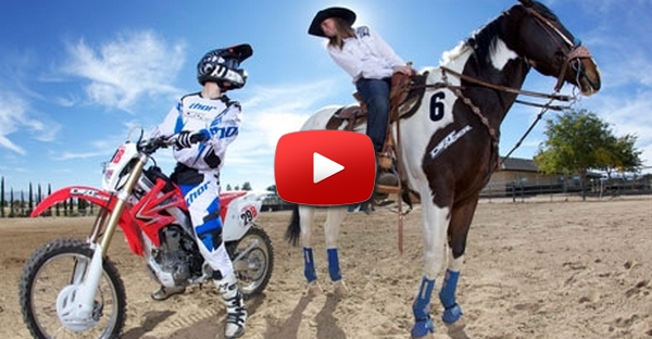 Cavalo quase derruba motociclista.