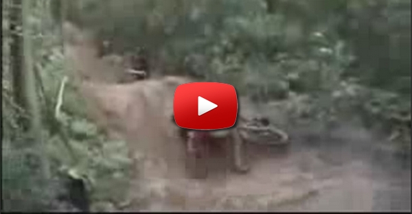 Vtt Crash