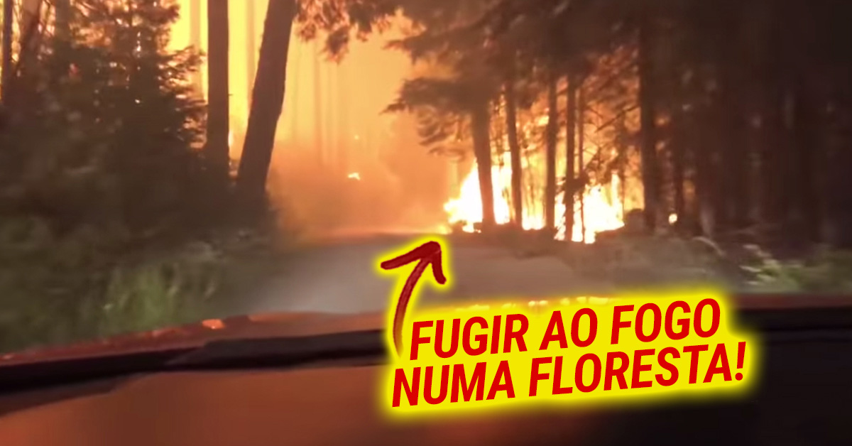 Pai e filho tentam escapar de um incêndio
