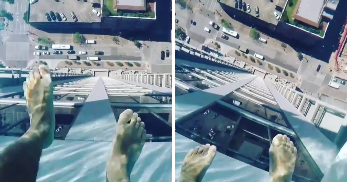 Será esta a piscina mais assustadora de sempre?