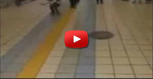 Ataque de insectos rasteiros em centro comercial