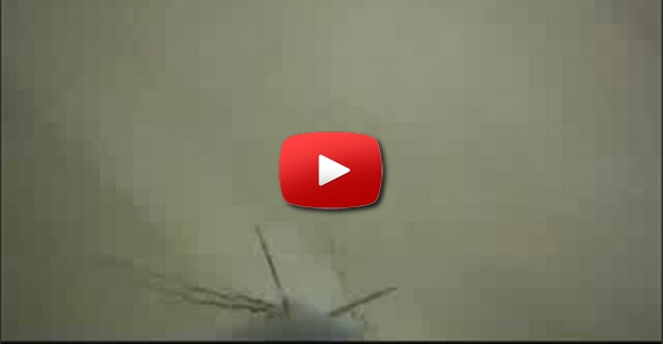 Rocket Filmado