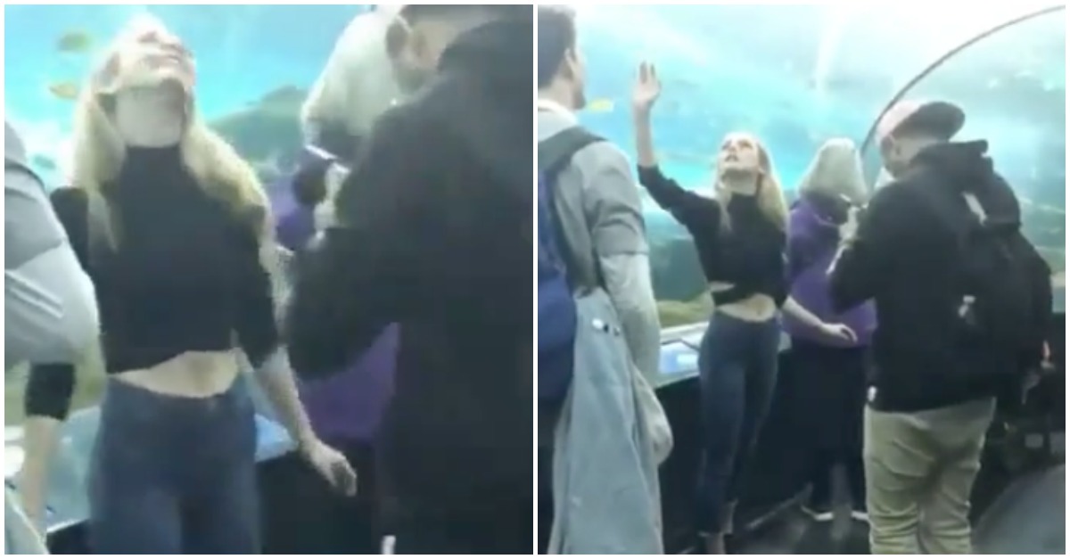Como é uma simples visita de um Instagrammer a um oceanário